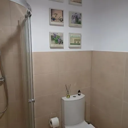 Nowoczesne Lokum W Centrum Apartment Czestochowa