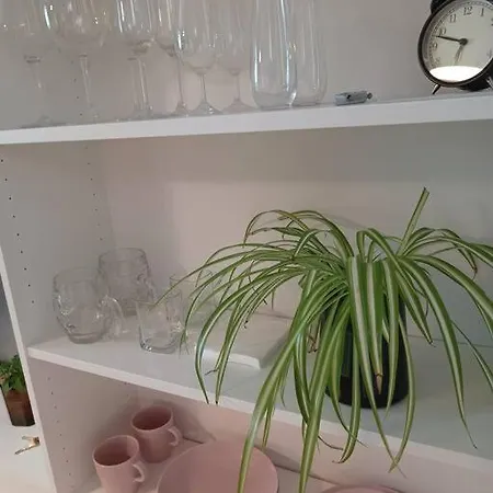Apartment Nowoczesne Lokum W Centrum *